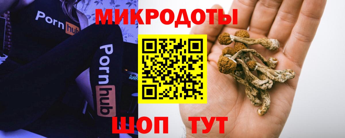 Галлюциногенные грибы Psilocybe  Вход с VPN  купить наркоту  Королёв  Галлюциногенные грибы прущие грибы 