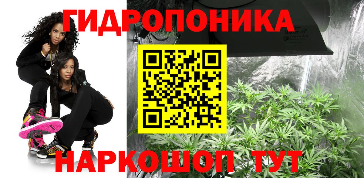 Бошки марихуана индика  Вход с VPN  МАРИХУАНА конопля  МАРИХУАНА THC 21%  Королёв  Бошки марихуана семена 